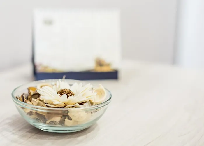 Parthenope Vomero Vanvitelli A 2 Min Spagno Via Toledo 住宿加早餐酒店 4*